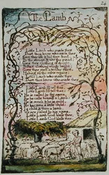 Das Lamm, Illustration aus Lieder der Unschuld und Erfahrung, (Bentley Kopie L) pl.24 (Bentley 8) 1789-94